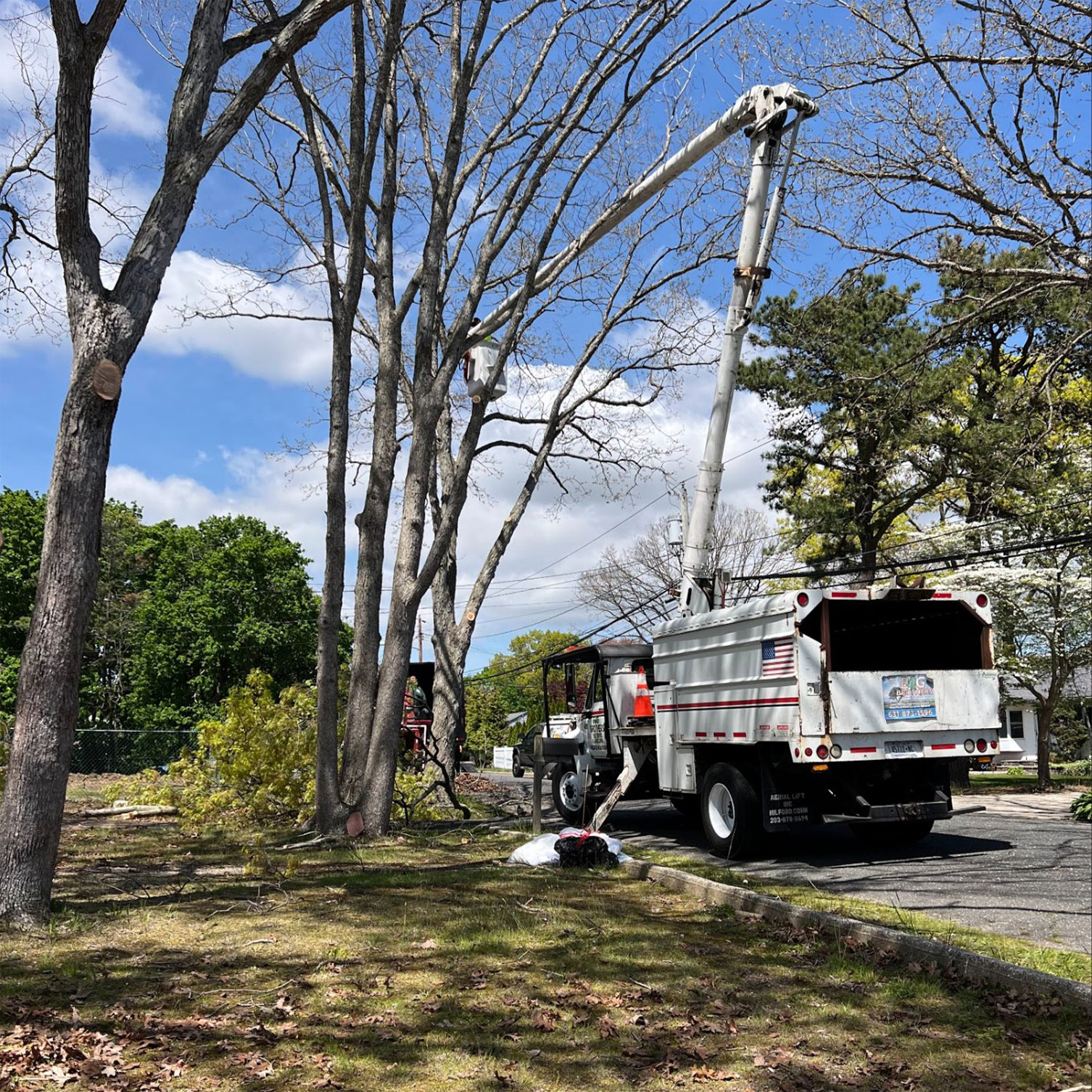 TreeService_03